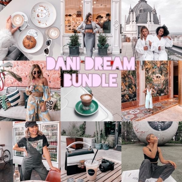 Dani Dream Bundle (Desktop)