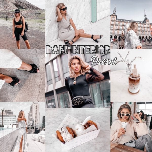 Dani Dream Interior (Desktop)